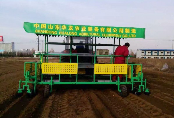 構(gòu)樹、桑樹、樹苗移栽機(jī)