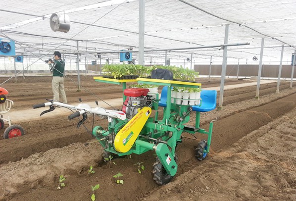 西紅柿、甜菜、甘藍移栽機