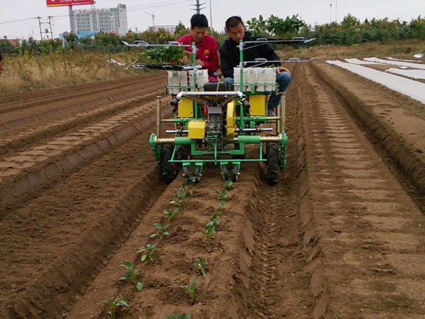 自走式雙行蔬菜移栽機(jī)